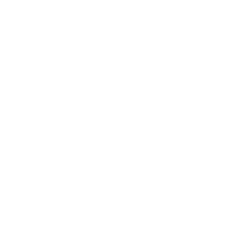 100-usa-made-icon